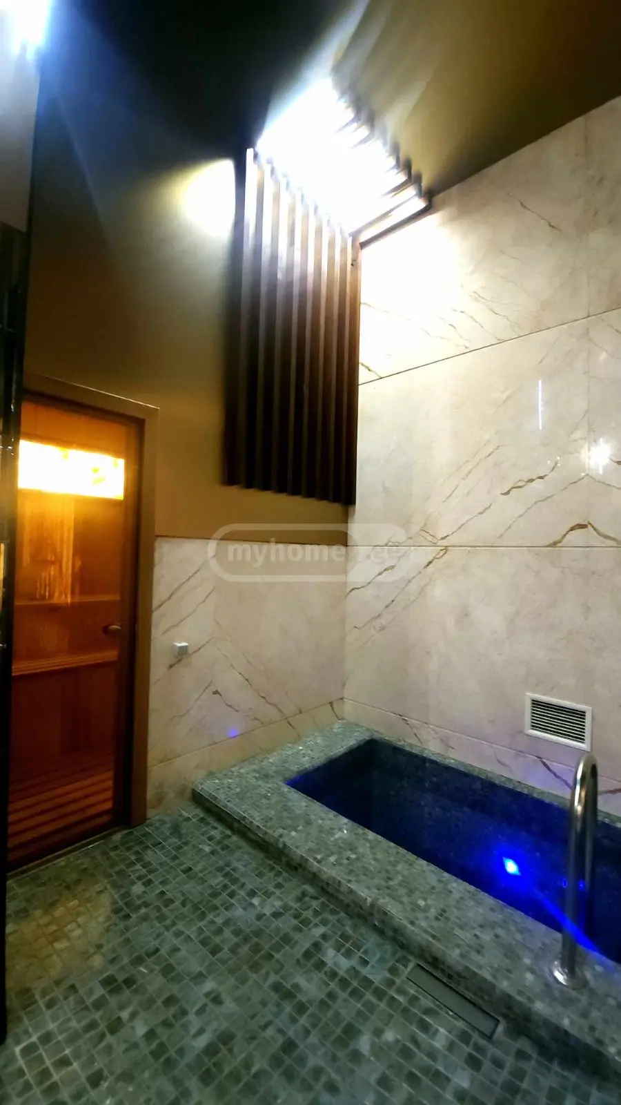 5 Room Country House Daily Rent In Tabakhmela view 12