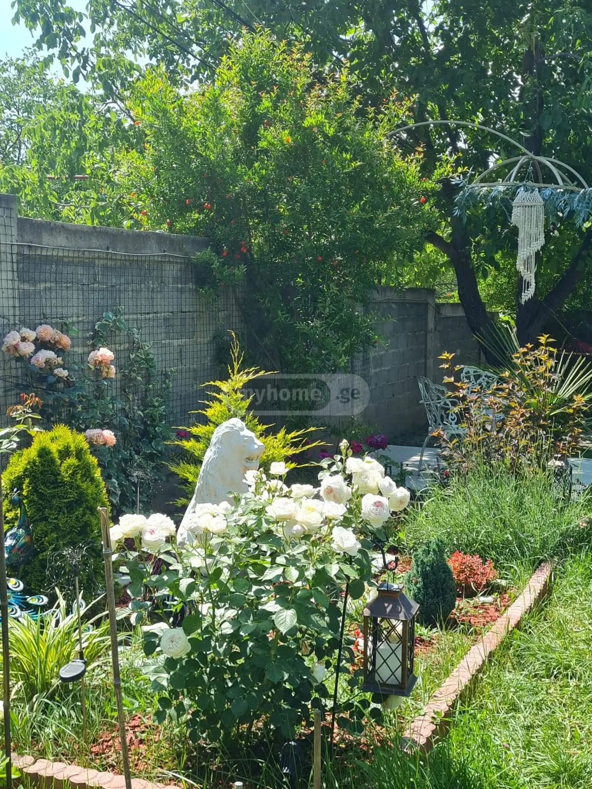 4 Room Country House Daily Rent In Mtskheta view 14