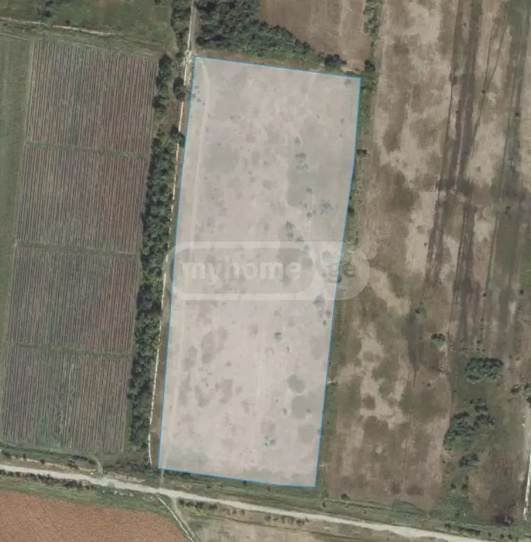 Agricultural Plot For Sale In Sagarejo view 5