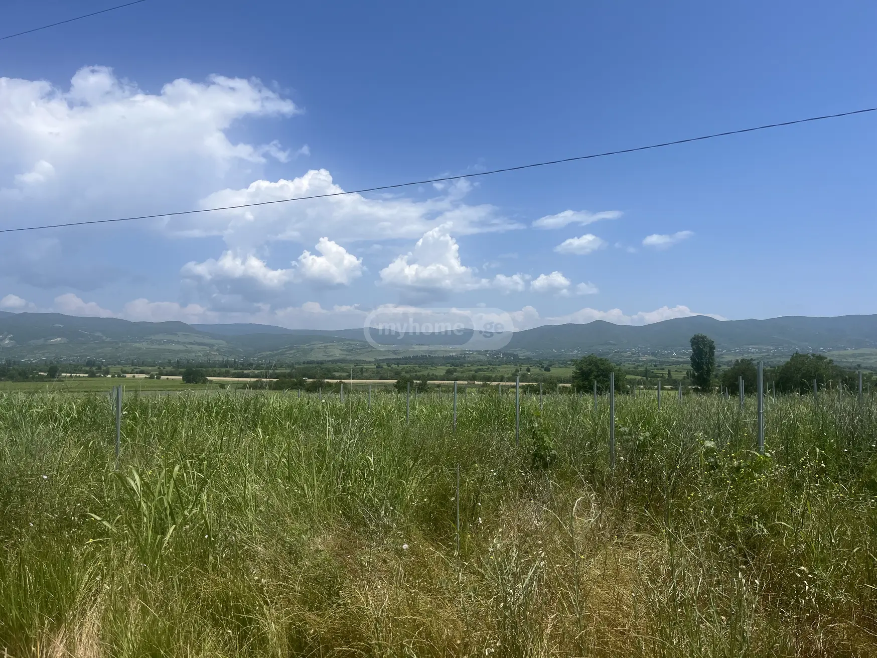 Agricultural Plot For Sale In Sagarejo view 1