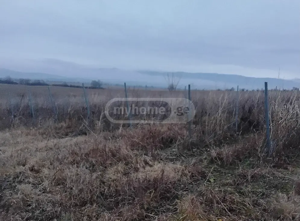 იყიდება Agricultural Plot In Sagarejoში view 2