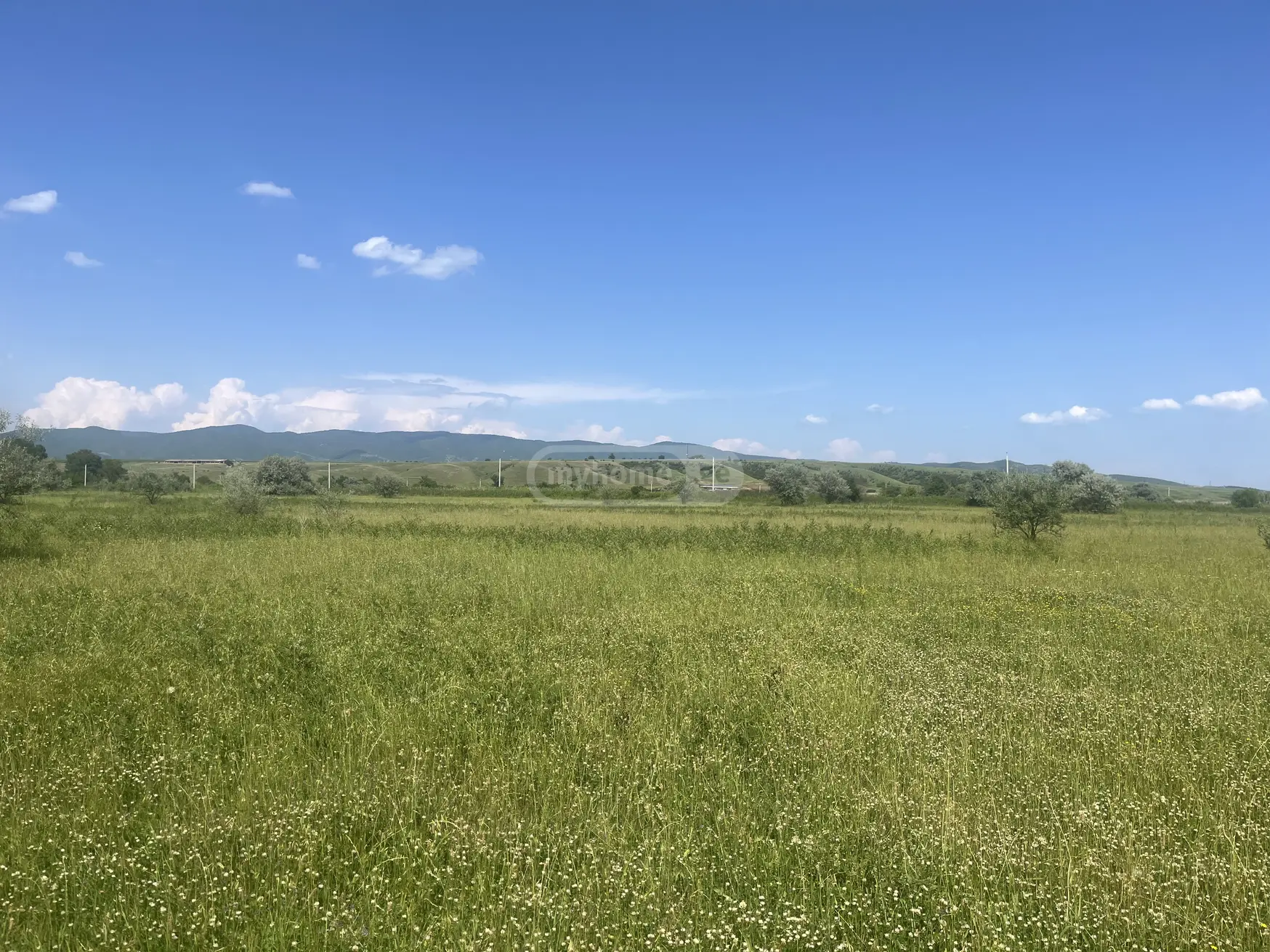 Agricultural Plot For Sale In Sagarejo view 2