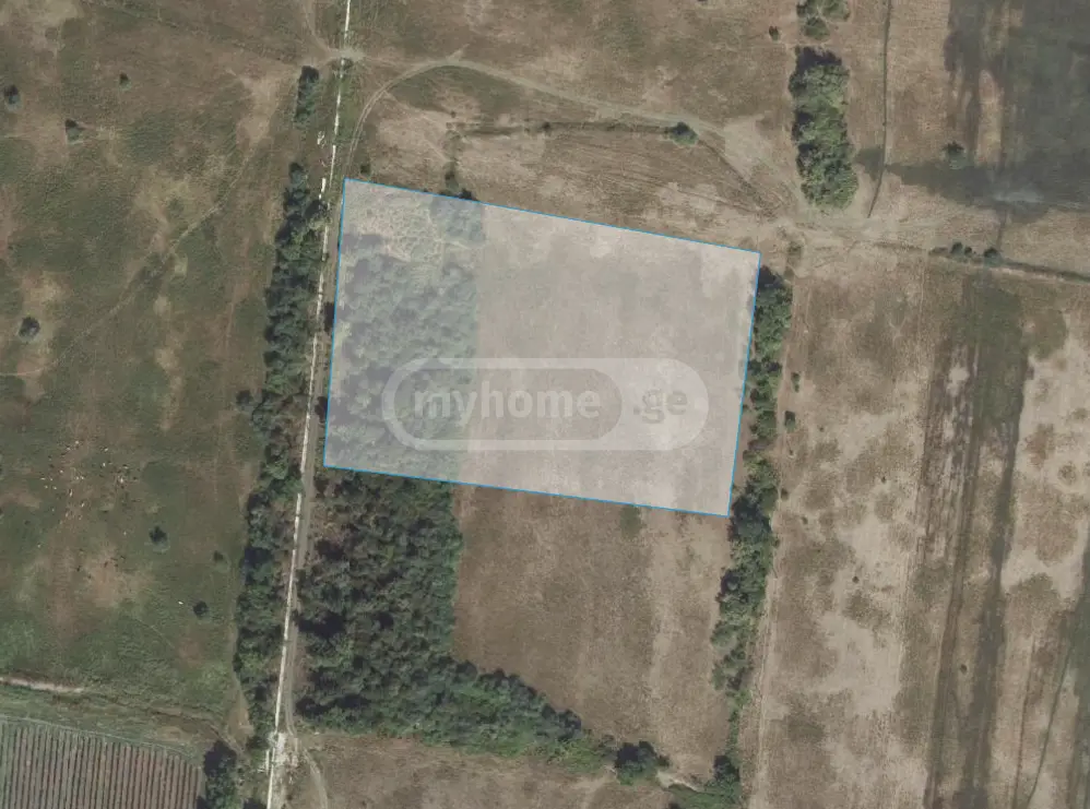 Agricultural Plot For Sale In Sagarejo view 5
