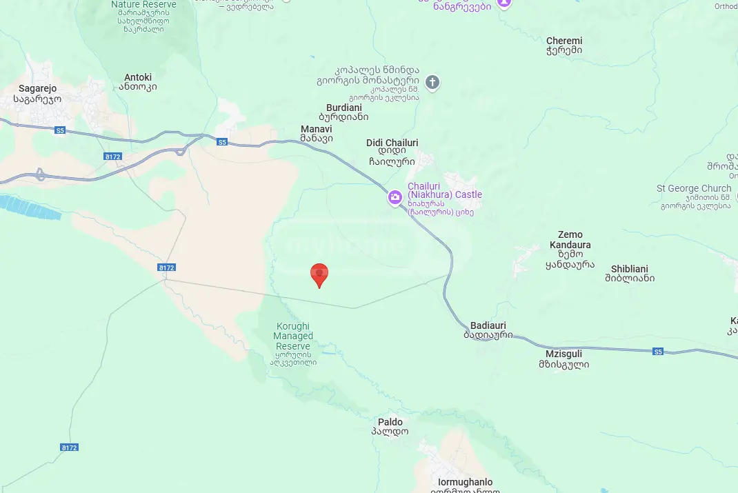 Agricultural Plot For Sale In Sagarejo view 5