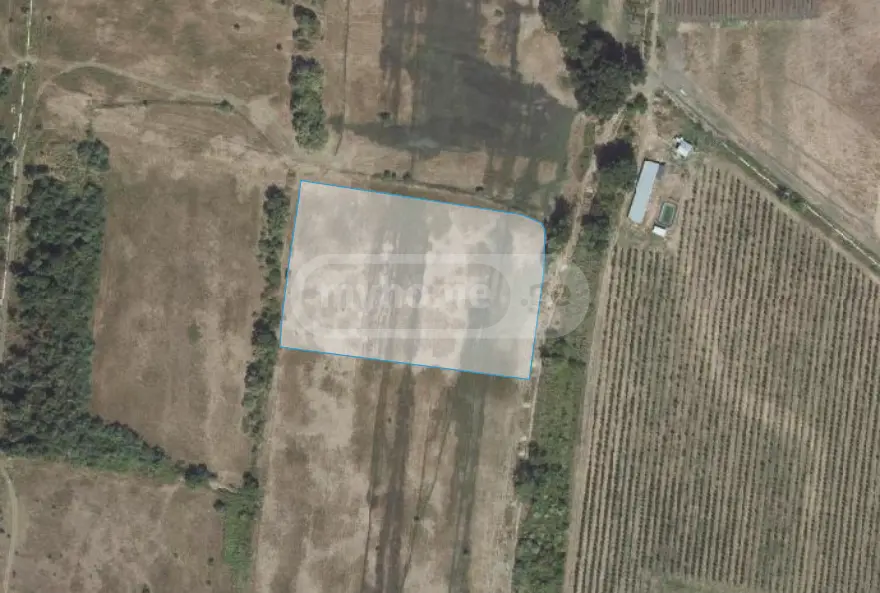 Agricultural Plot For Sale In Sagarejo view 4