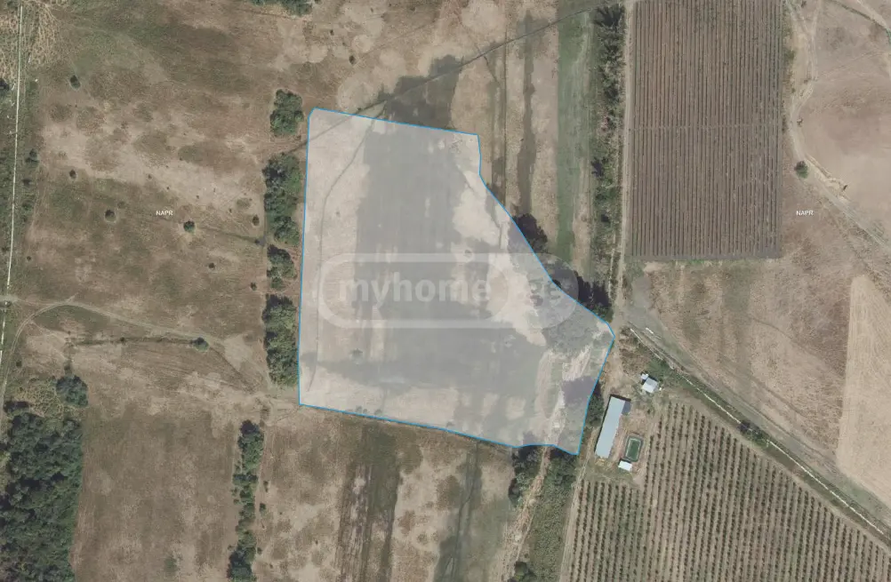 Agricultural Plot For Sale In Sagarejo view 4