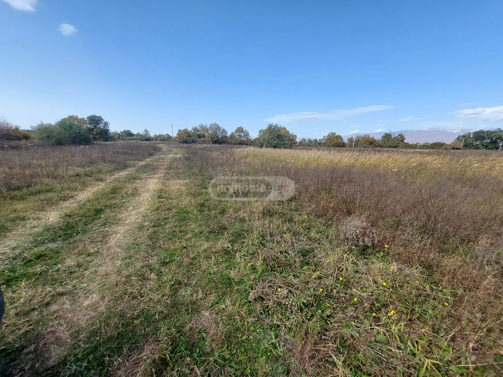 Agricultural Plot For Sale In Sagarejo view 3