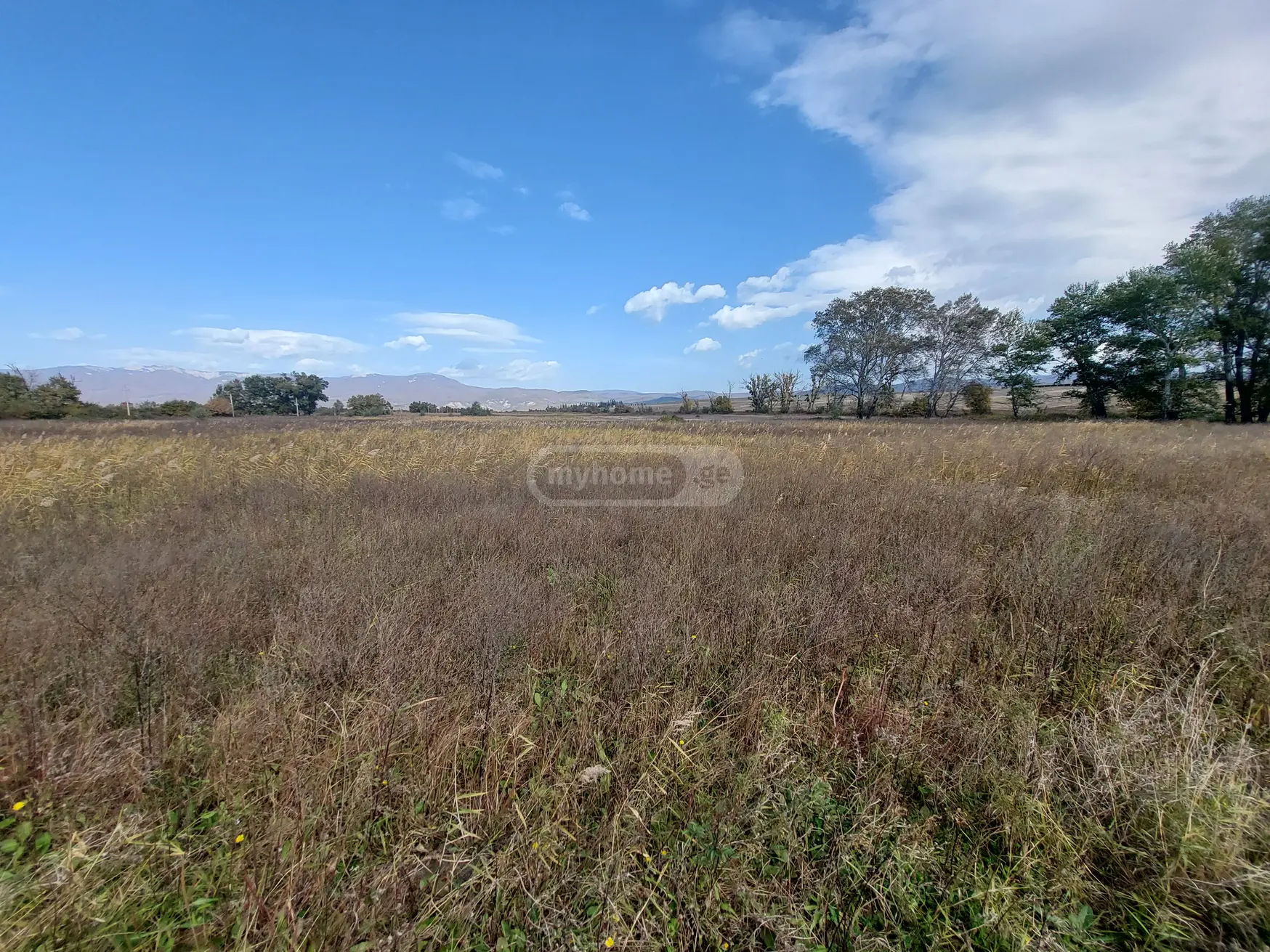 Agricultural Plot For Sale In Sagarejo view 1