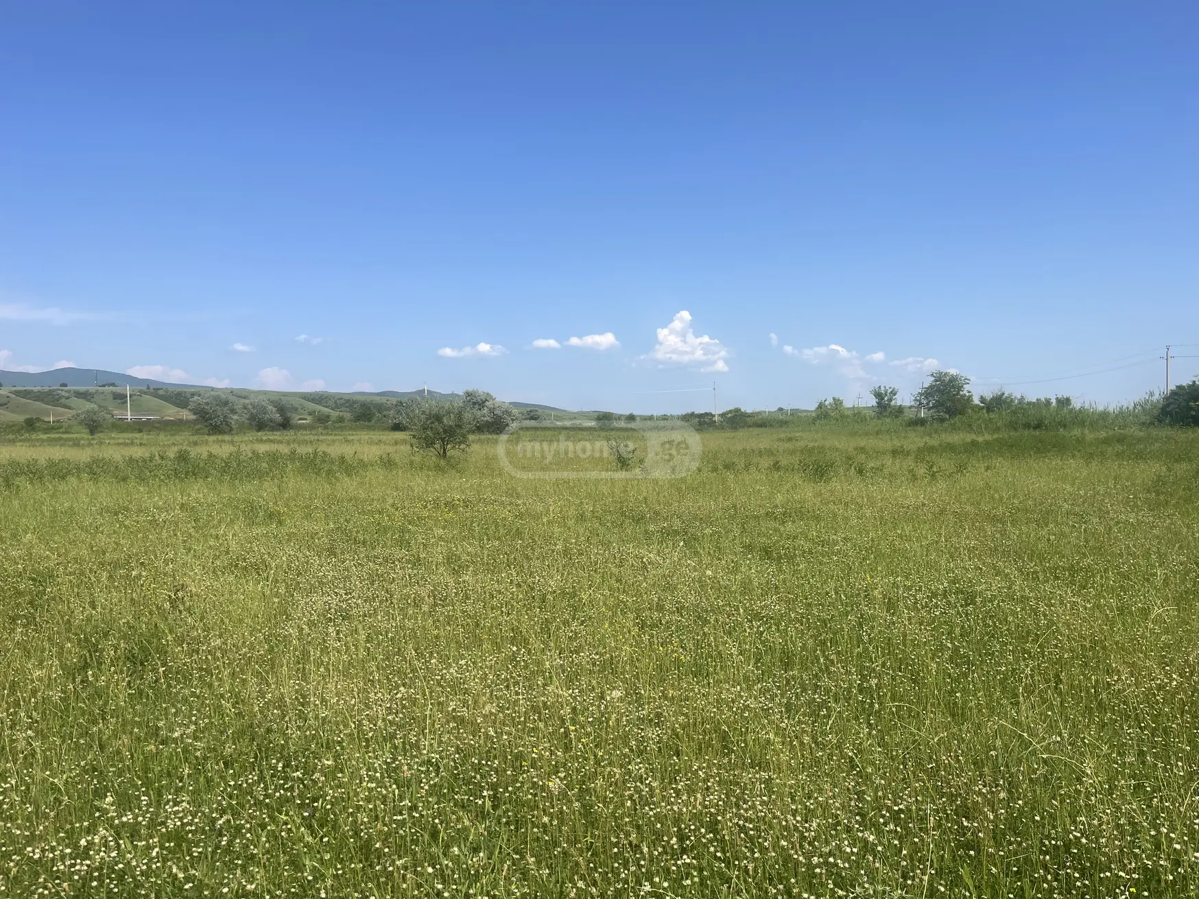 Agricultural Plot For Sale In Sagarejo view 1