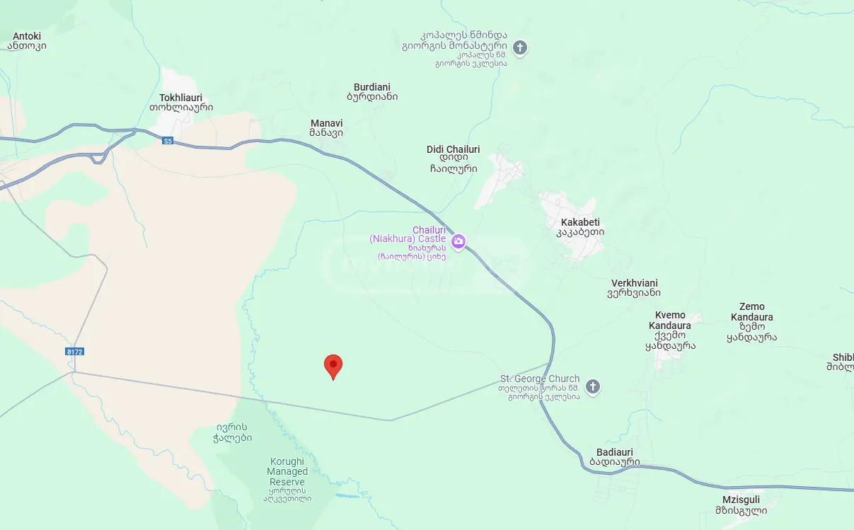 Agricultural Plot For Sale In Sagarejo view 5