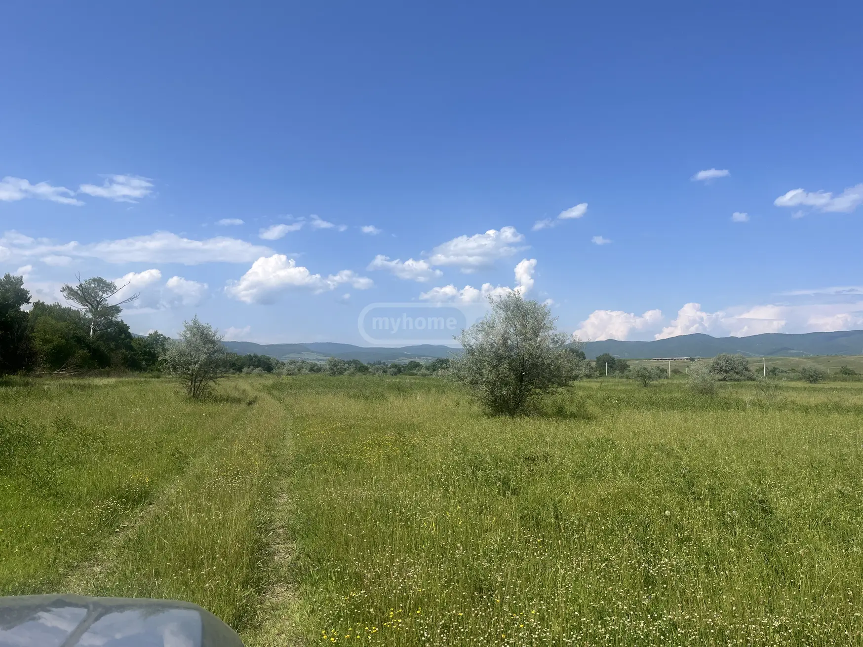 Agricultural Plot For Sale In Sagarejo view 4