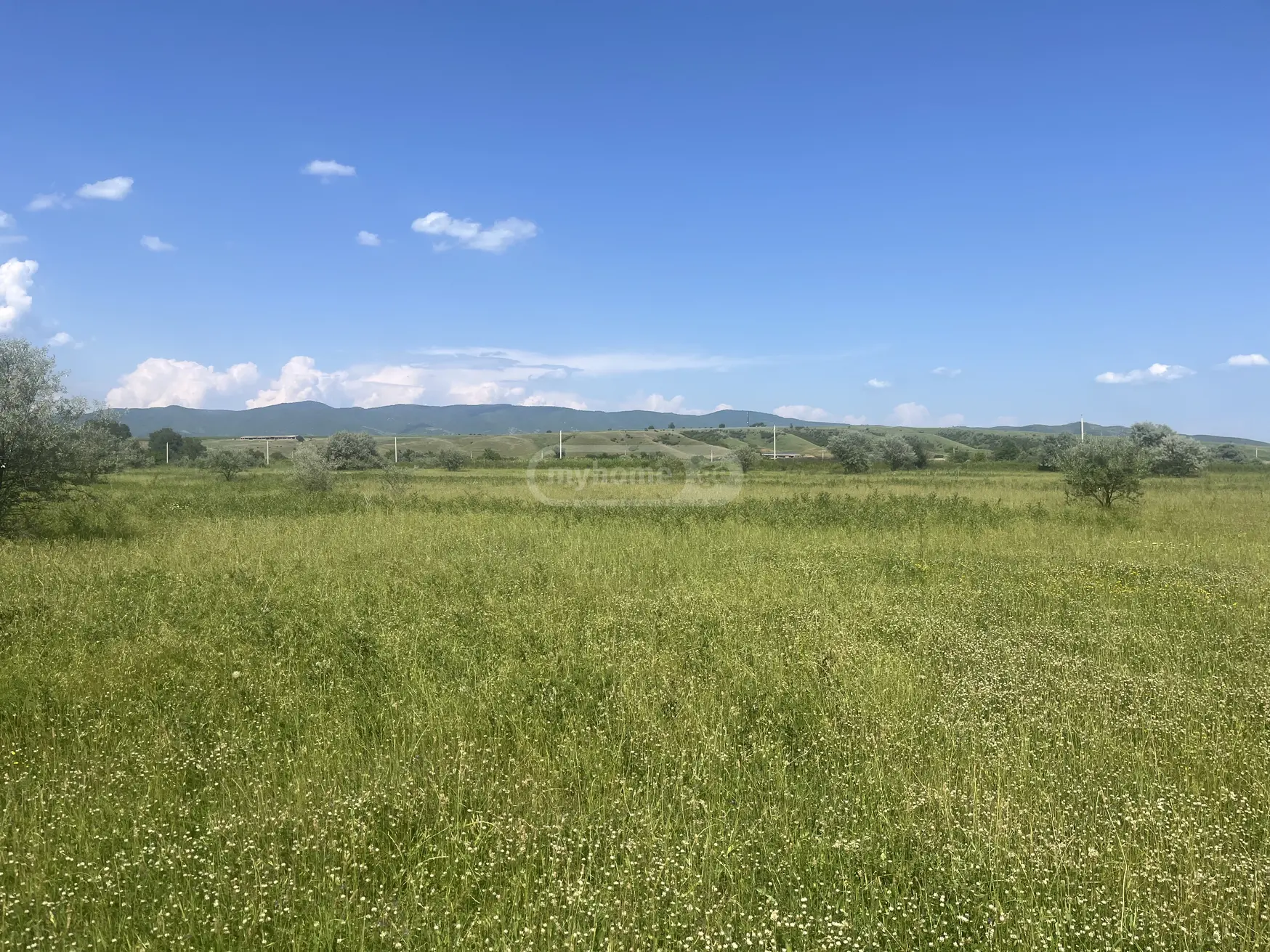 Agricultural Plot For Sale In Sagarejo view 3