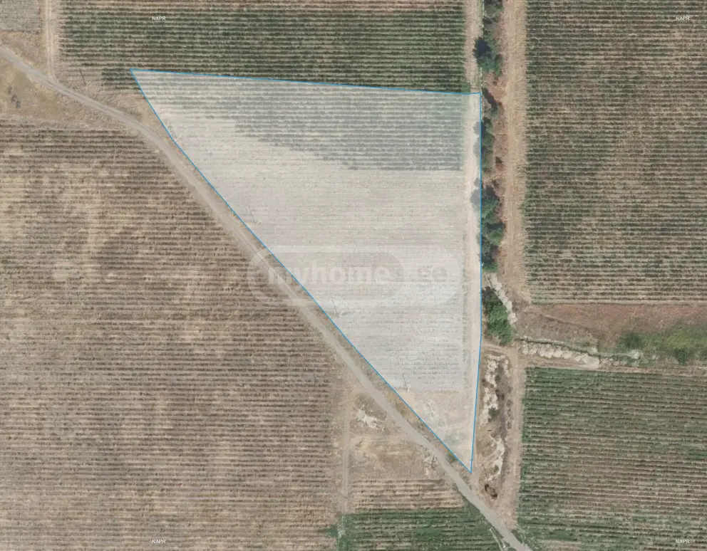 Agricultural Plot For Sale In Sagarejo view 5