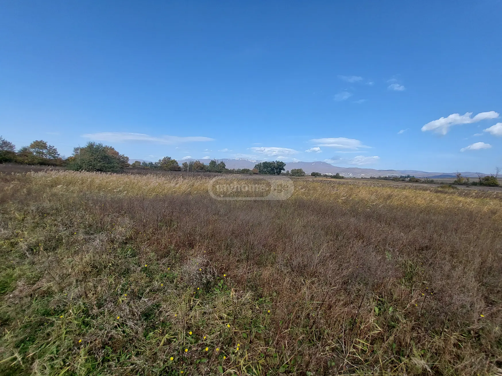 Agricultural Plot For Sale In Sagarejo view 2