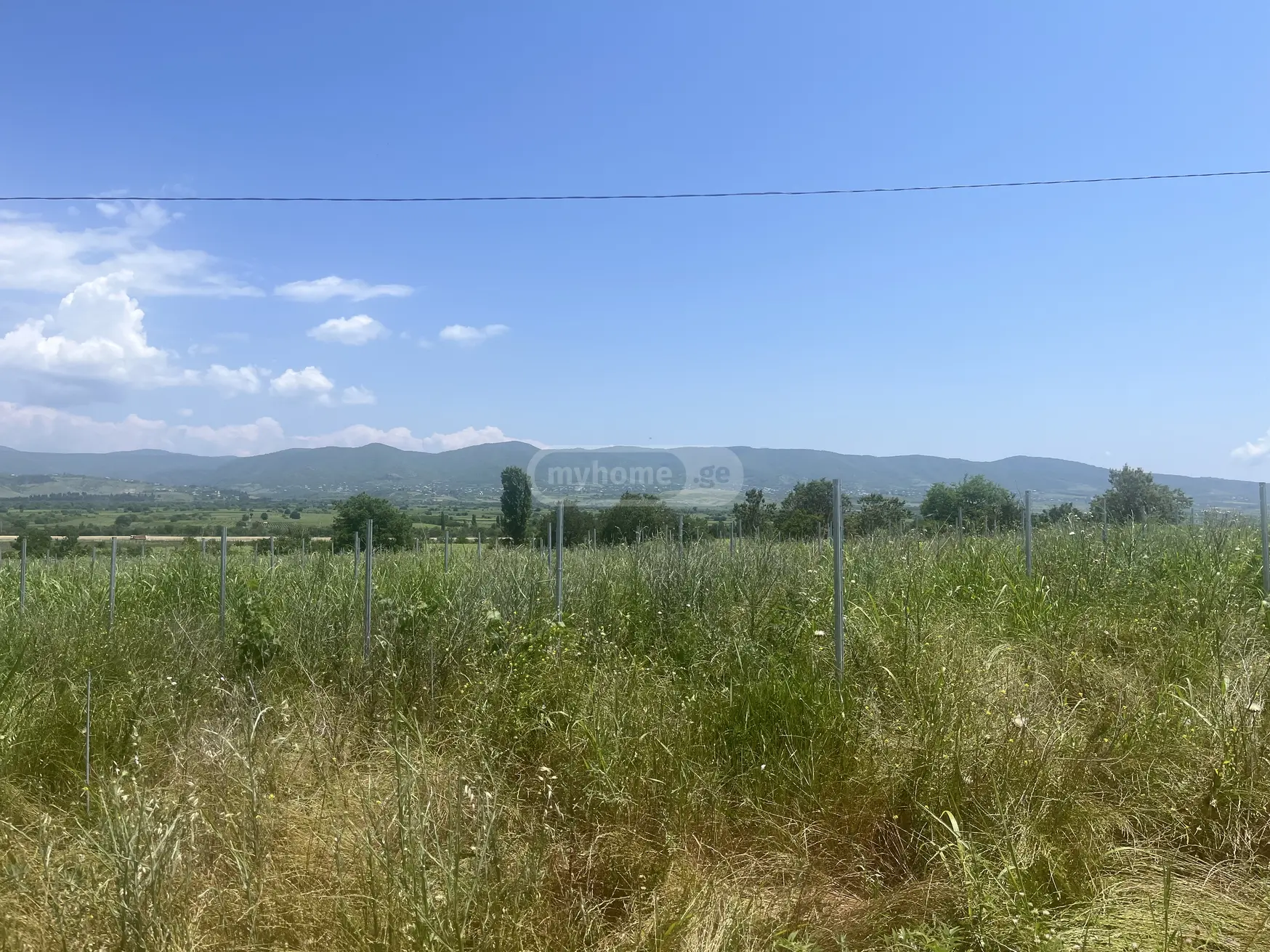 Agricultural Plot For Sale In Sagarejo view 3