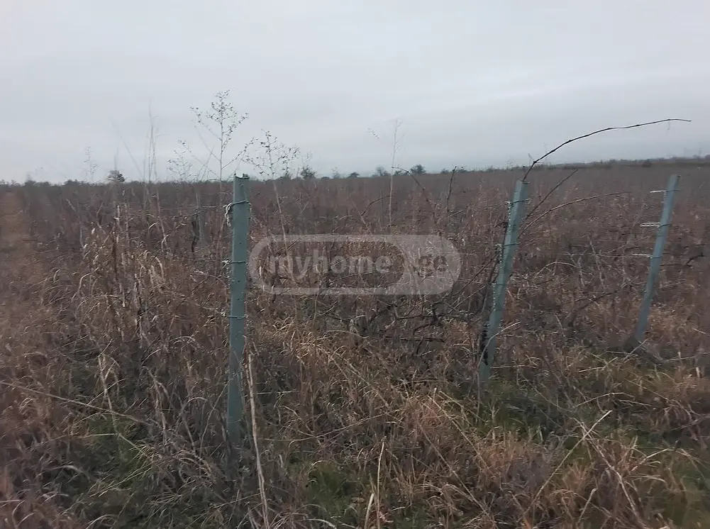 Продажа Agricultural Plot в In Sagarejo view 1