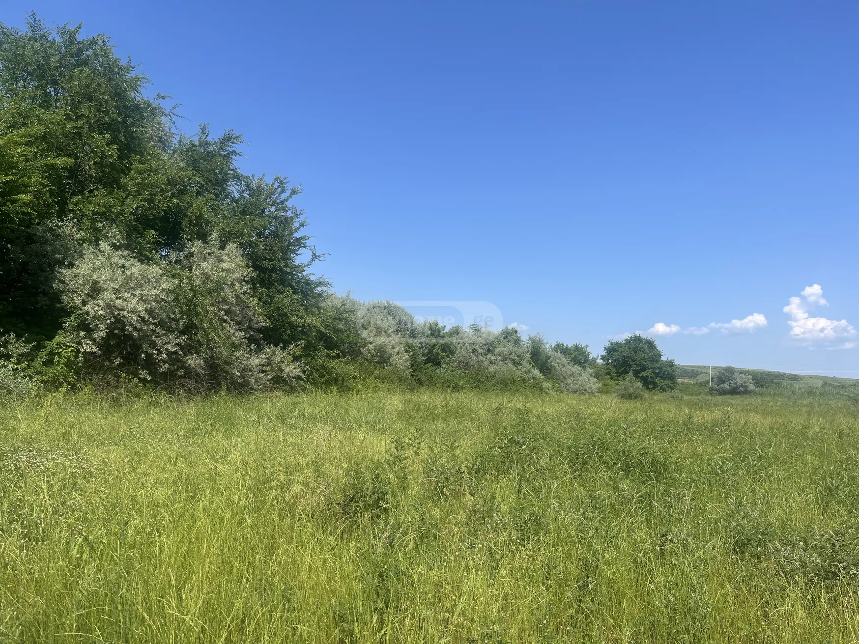 Agricultural Plot For Sale In Sagarejo view 3