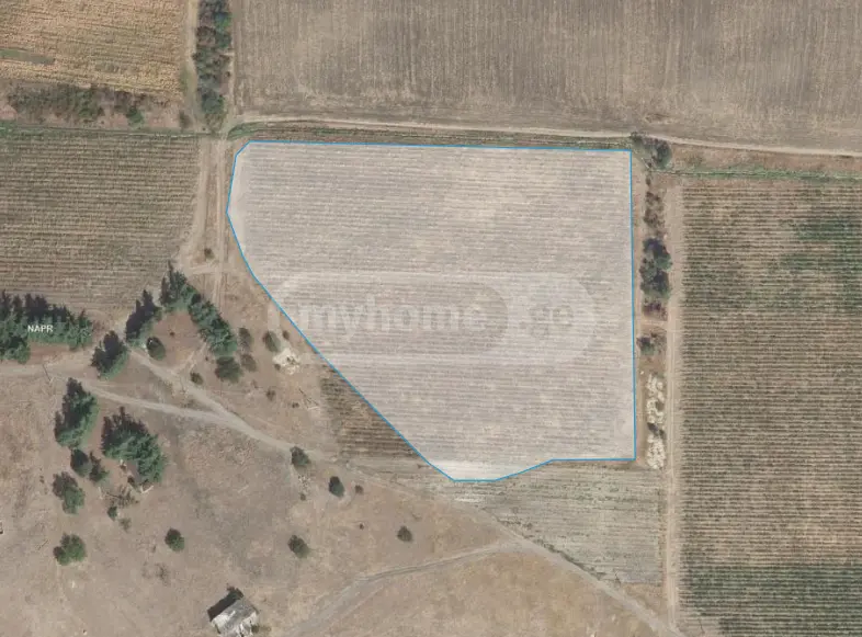 იყიდება Agricultural Plot In Sagarejoში view 3