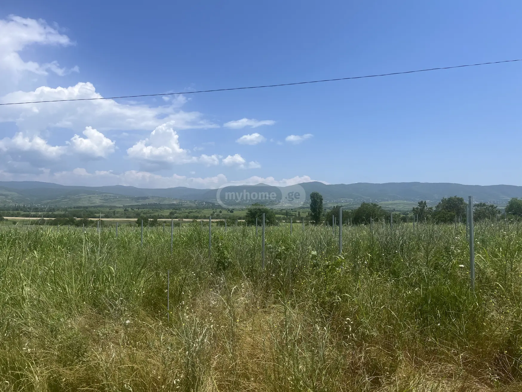 Agricultural Plot For Sale In Sagarejo view 2