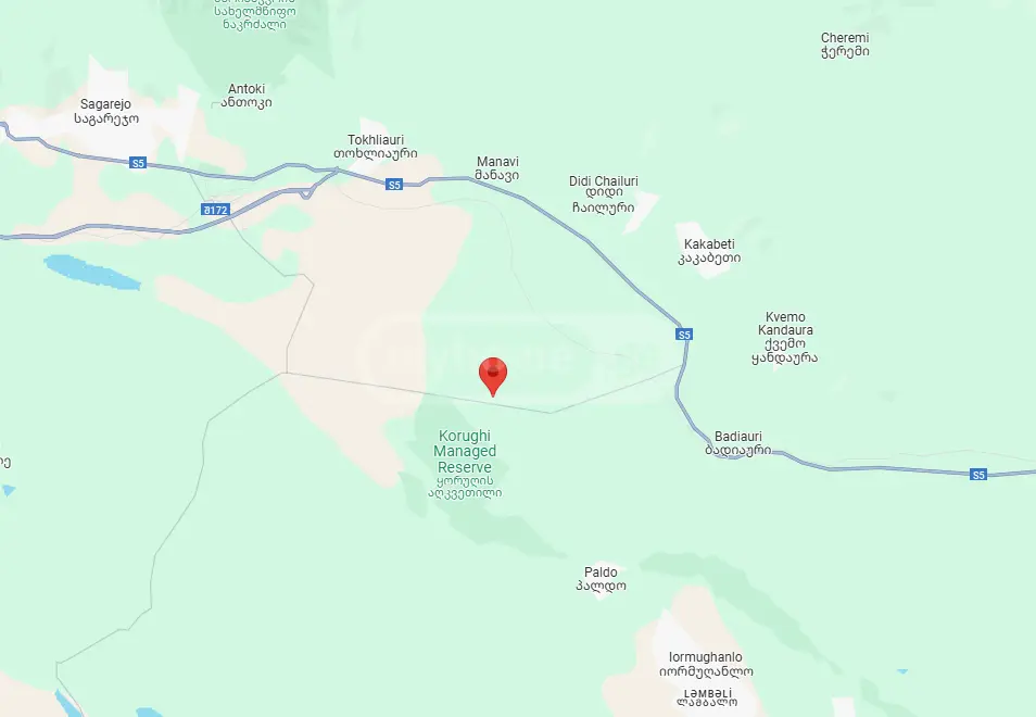 Agricultural Plot For Sale In Sagarejo view 6