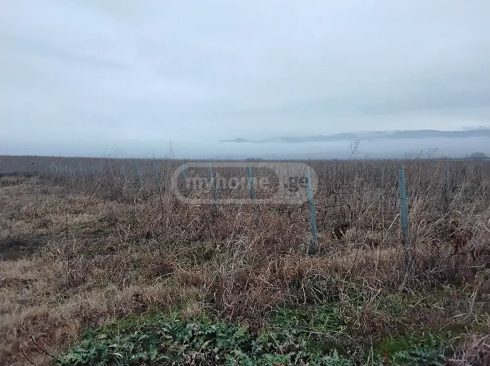 იყიდება Agricultural Plot In Sagarejoში view 1