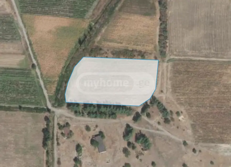 იყიდება Agricultural Plot In Sagarejoში view 3