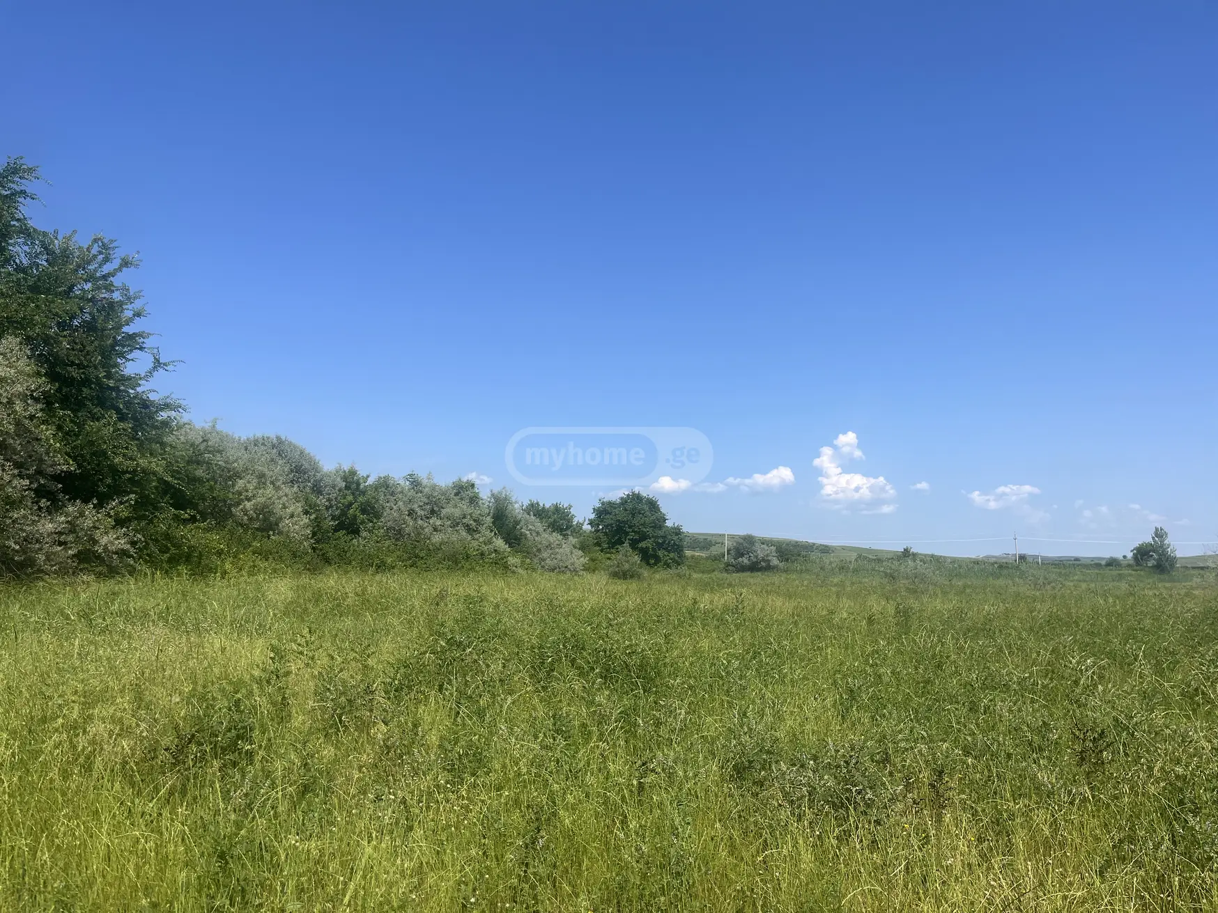 Agricultural Plot For Sale In Sagarejo view 2