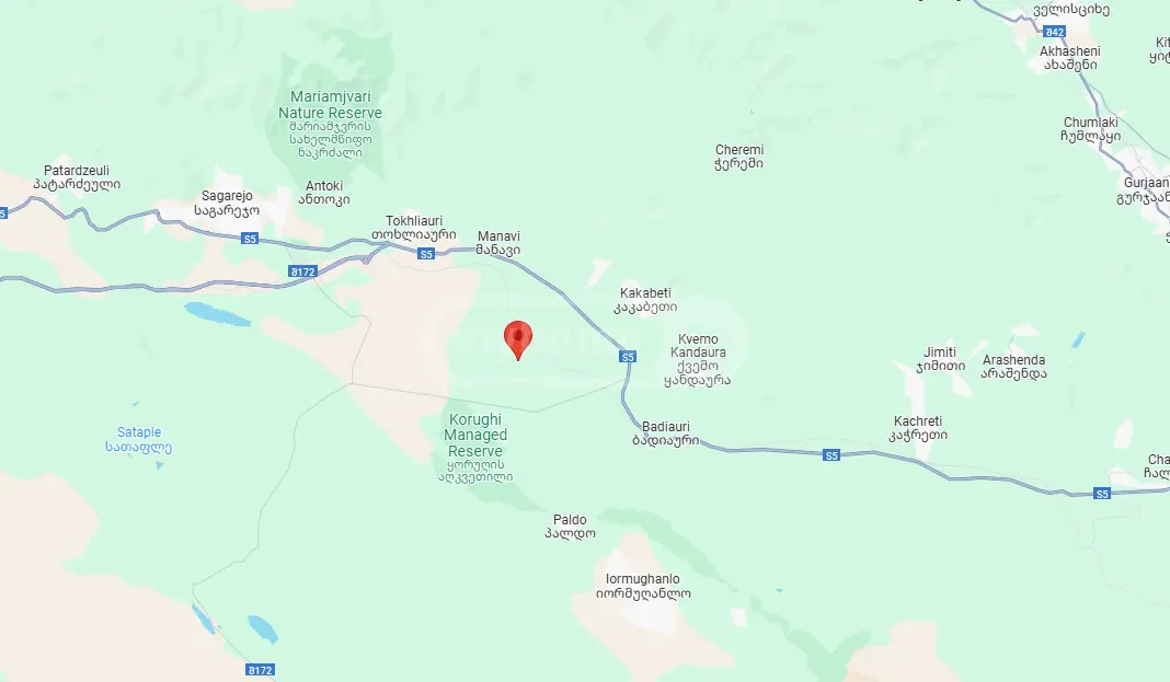 Agricultural Plot For Sale In Sagarejo view 6