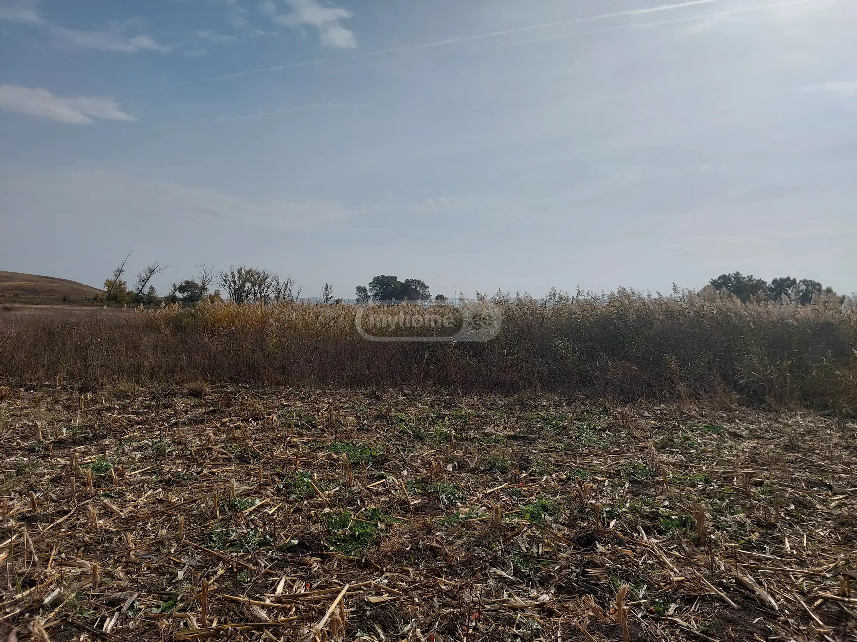 Agricultural Plot For Sale In Sagarejo view 1