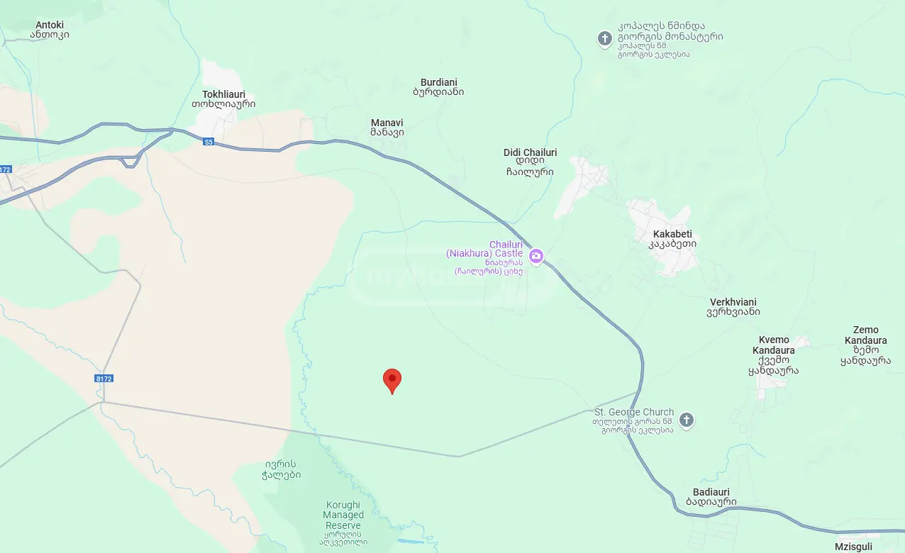 Agricultural Plot For Sale In Sagarejo view 6