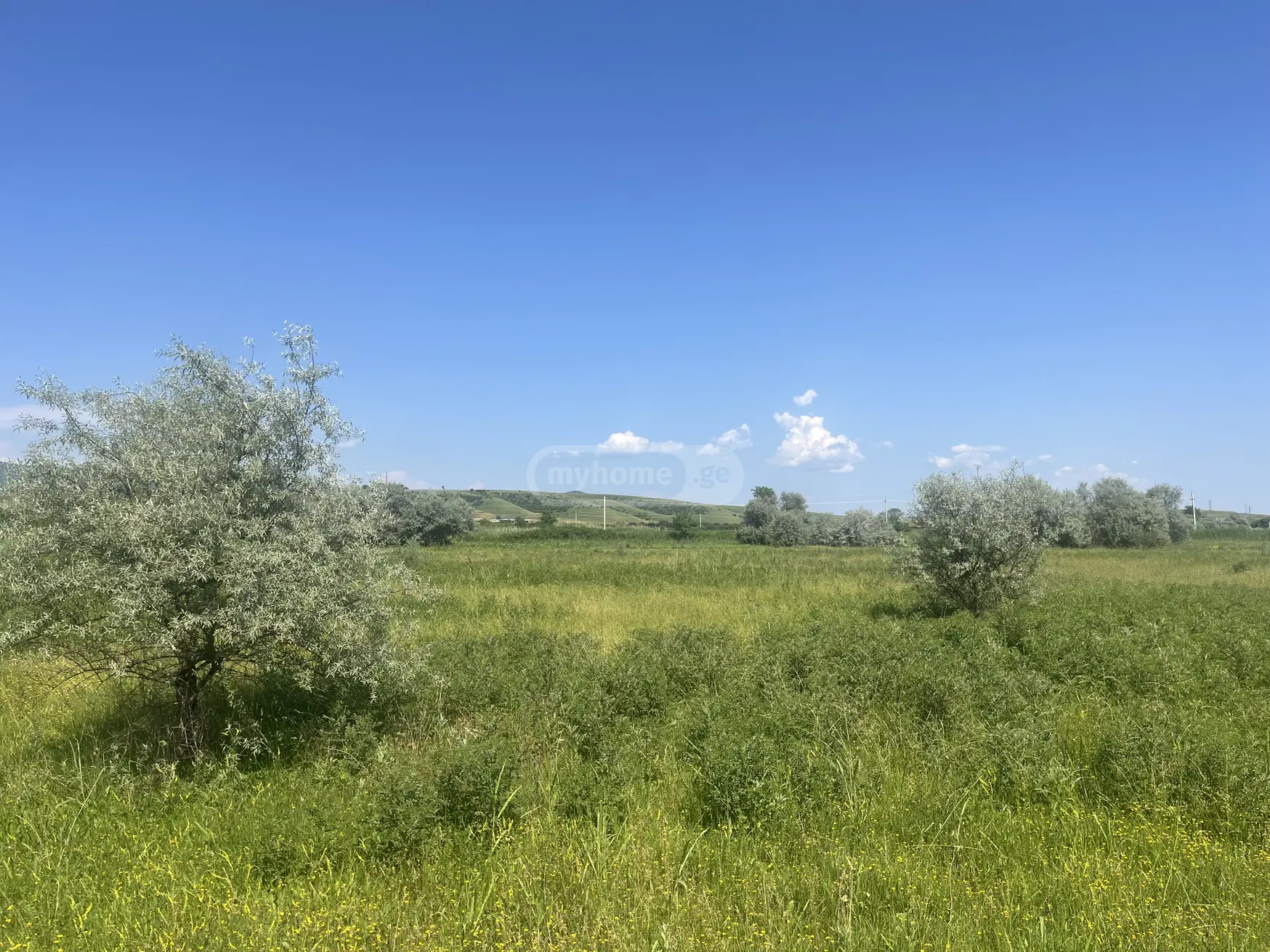 Agricultural Plot For Sale In Sagarejo view 3