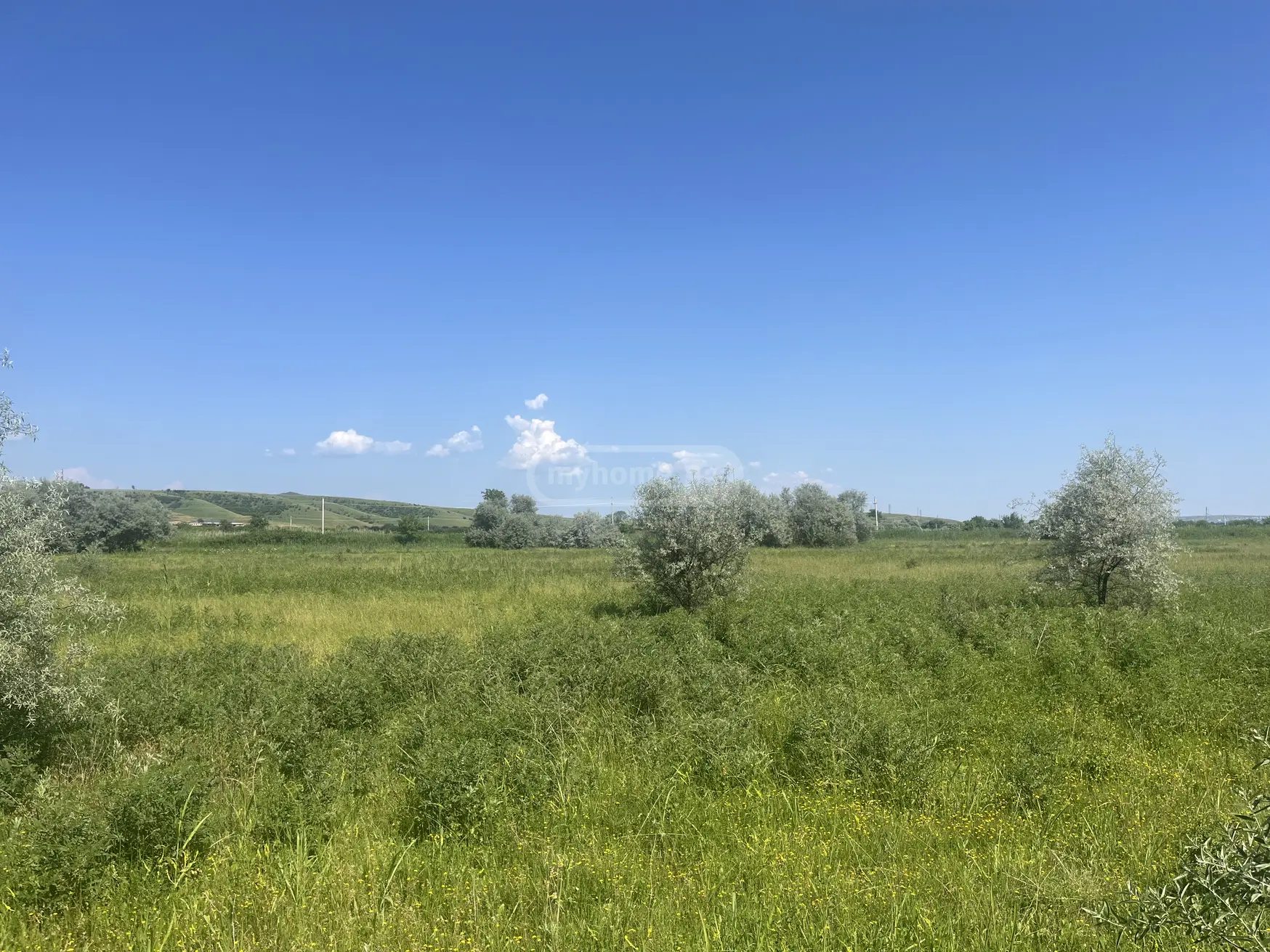 Agricultural Plot For Sale In Sagarejo view 1