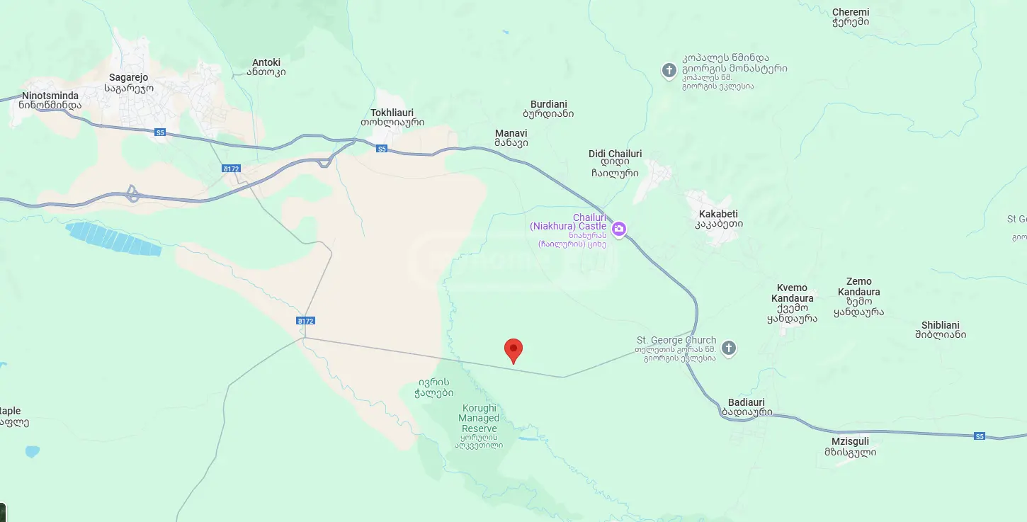 Agricultural Plot For Sale In Sagarejo view 6