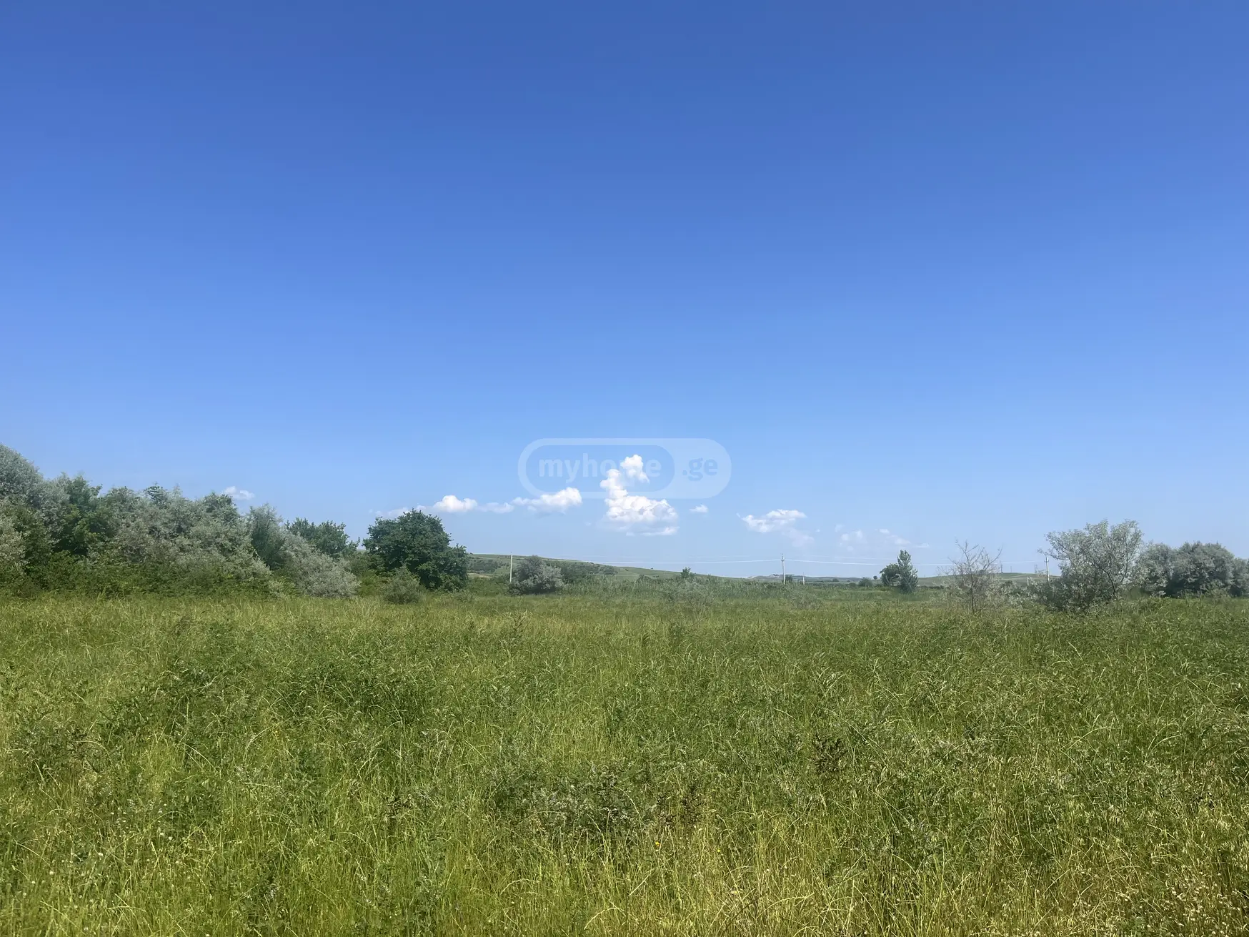 Agricultural Plot For Sale In Sagarejo view 1