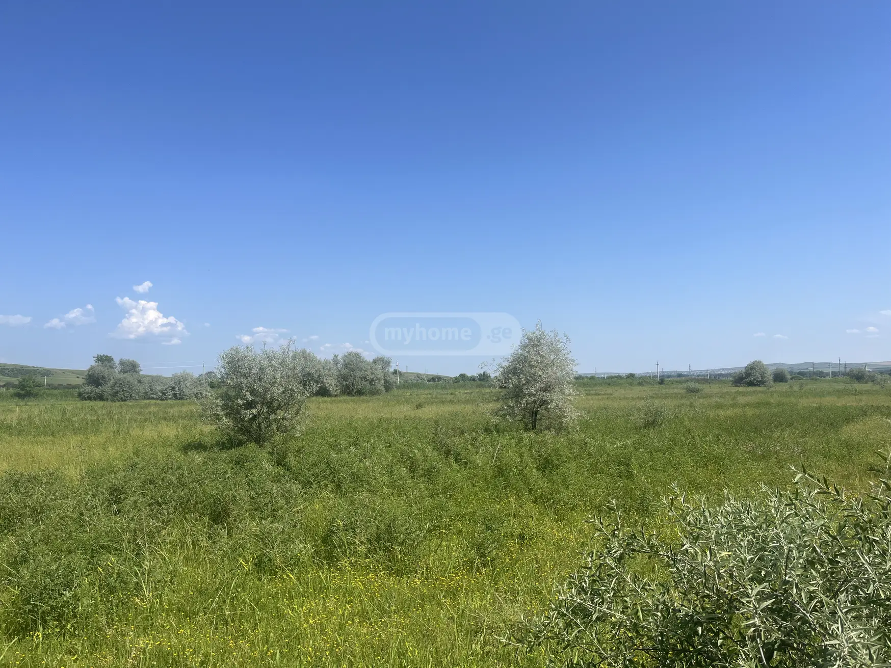 Agricultural Plot For Sale In Sagarejo view 4