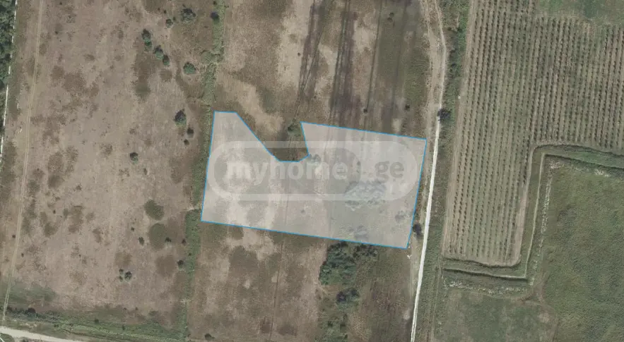 Agricultural Plot For Sale In Sagarejo view 5