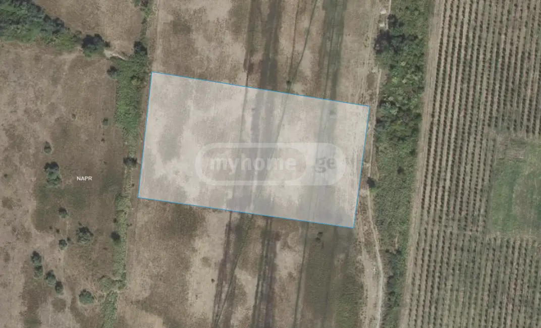 Agricultural Plot For Sale In Sagarejo view 5
