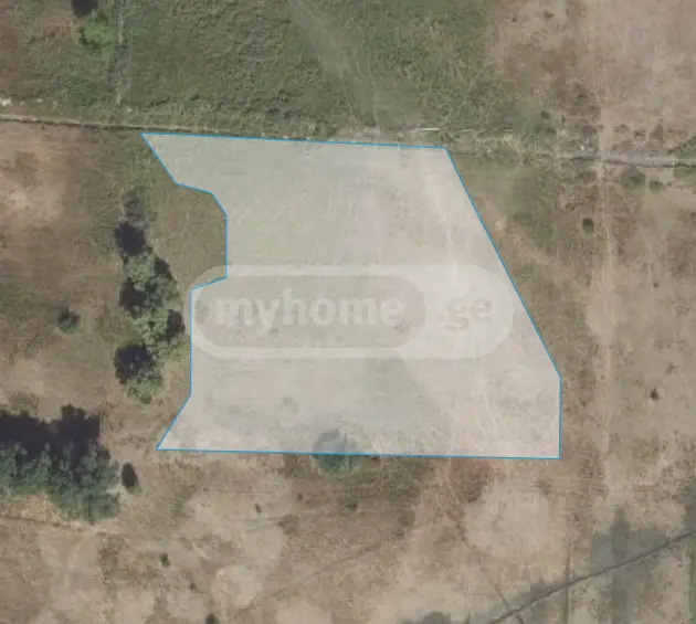 Agricultural Plot For Sale In Sagarejo view 5