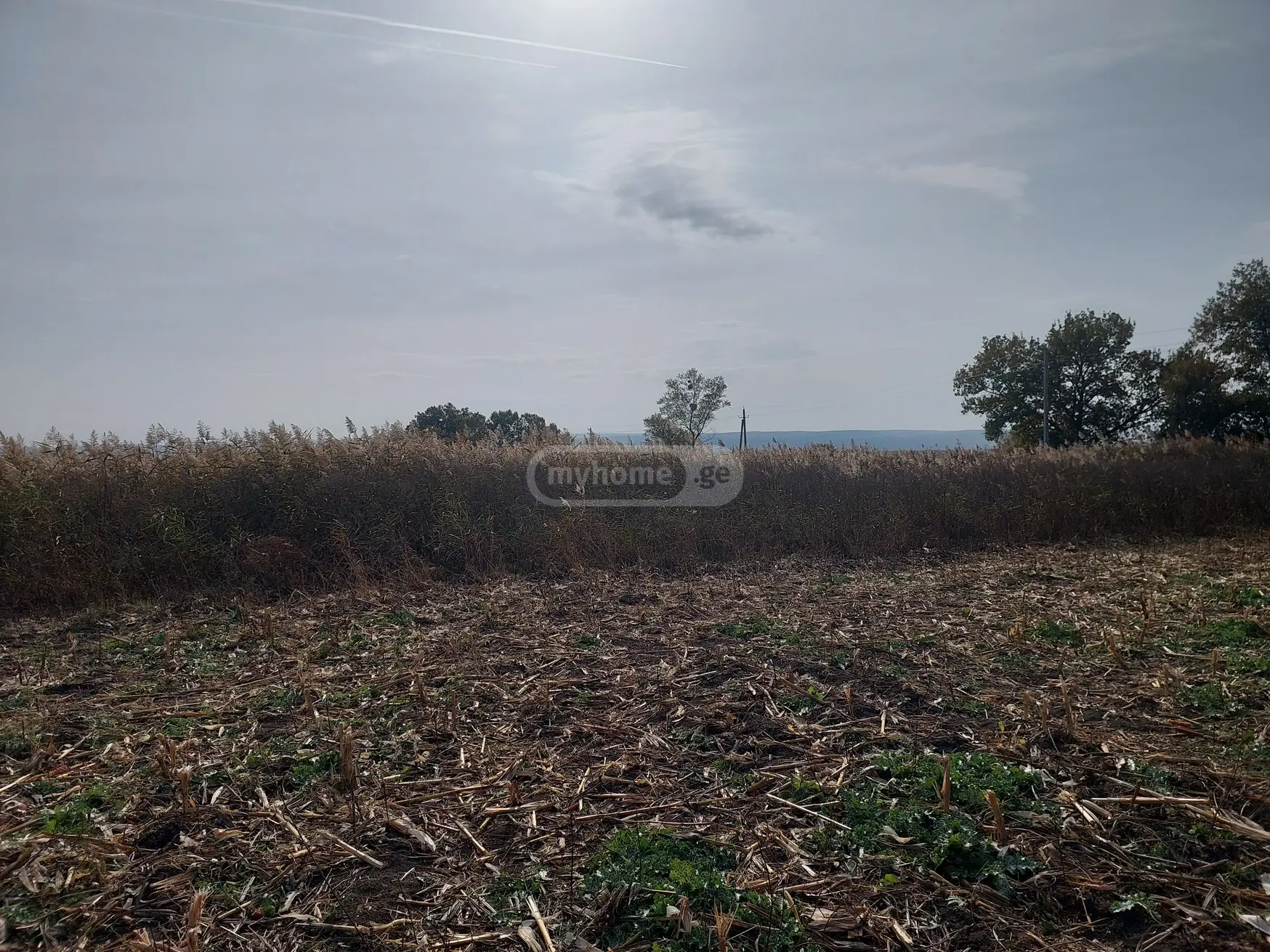 Agricultural Plot For Sale In Sagarejo view 2