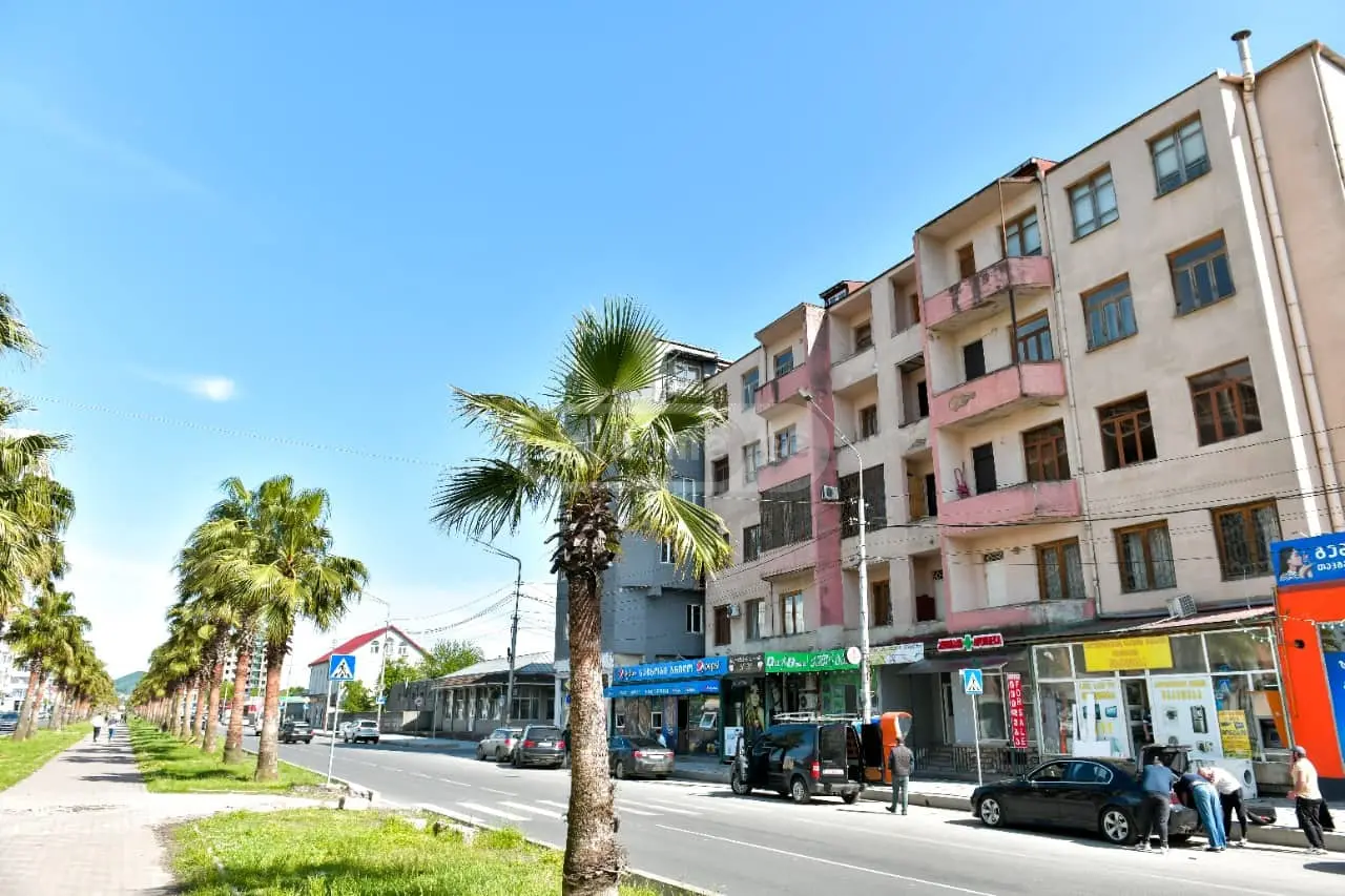 Food Object Commercial Area For Sale Aghmashenebeli, In Qutaisi view 13