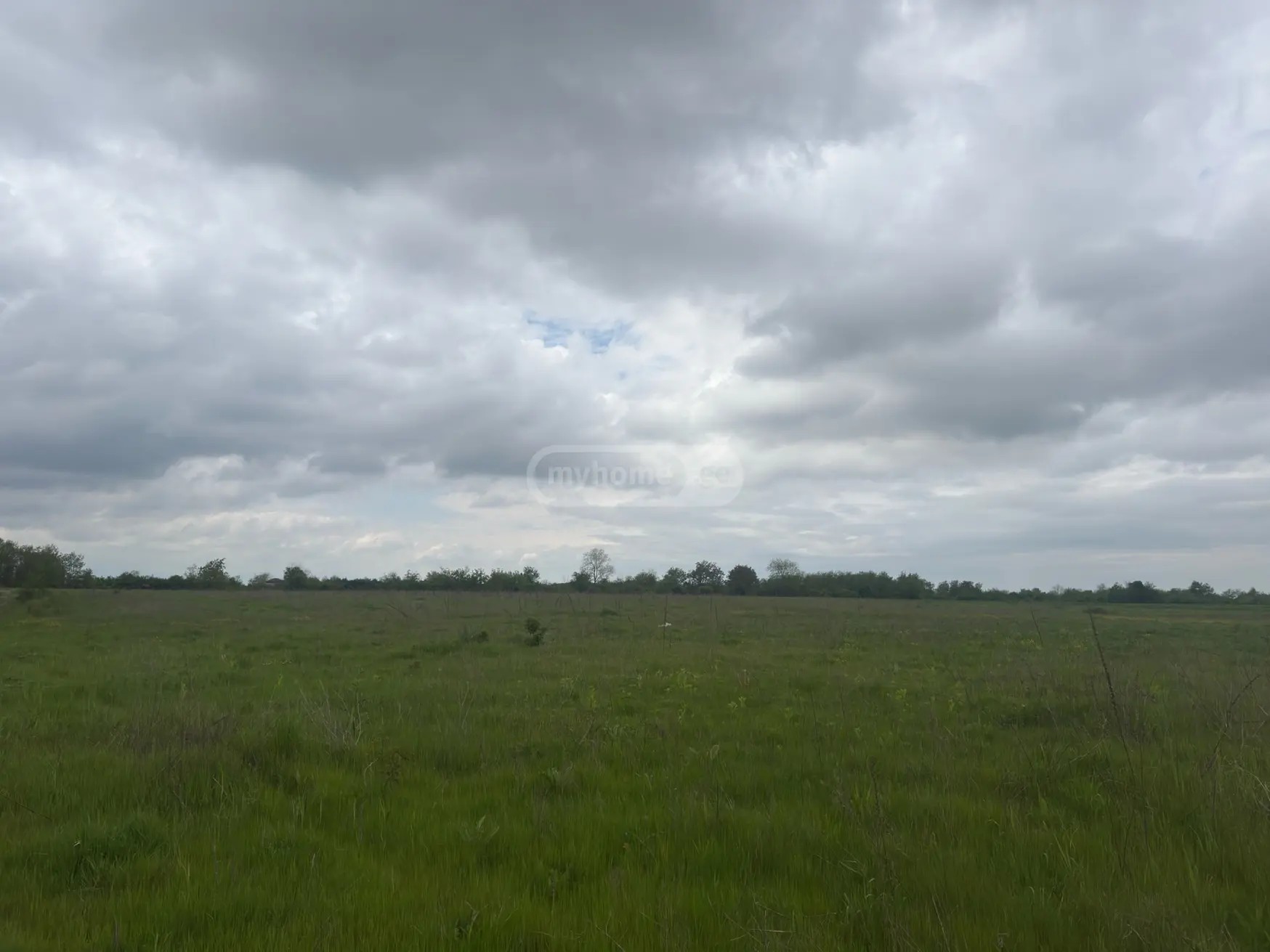 იყიდება Agricultural Plot In Lagodekhiში view 3
