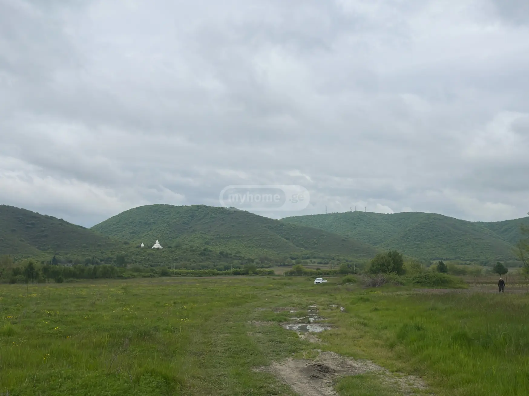 იყიდება Agricultural Plot In Lagodekhiში view 4