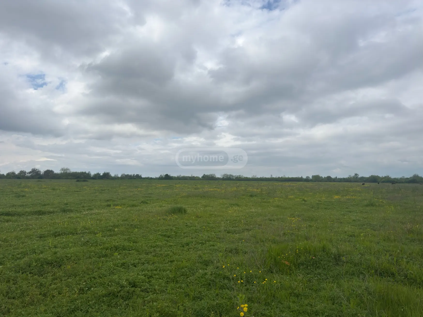 იყიდება Agricultural Plot In Lagodekhiში view 1