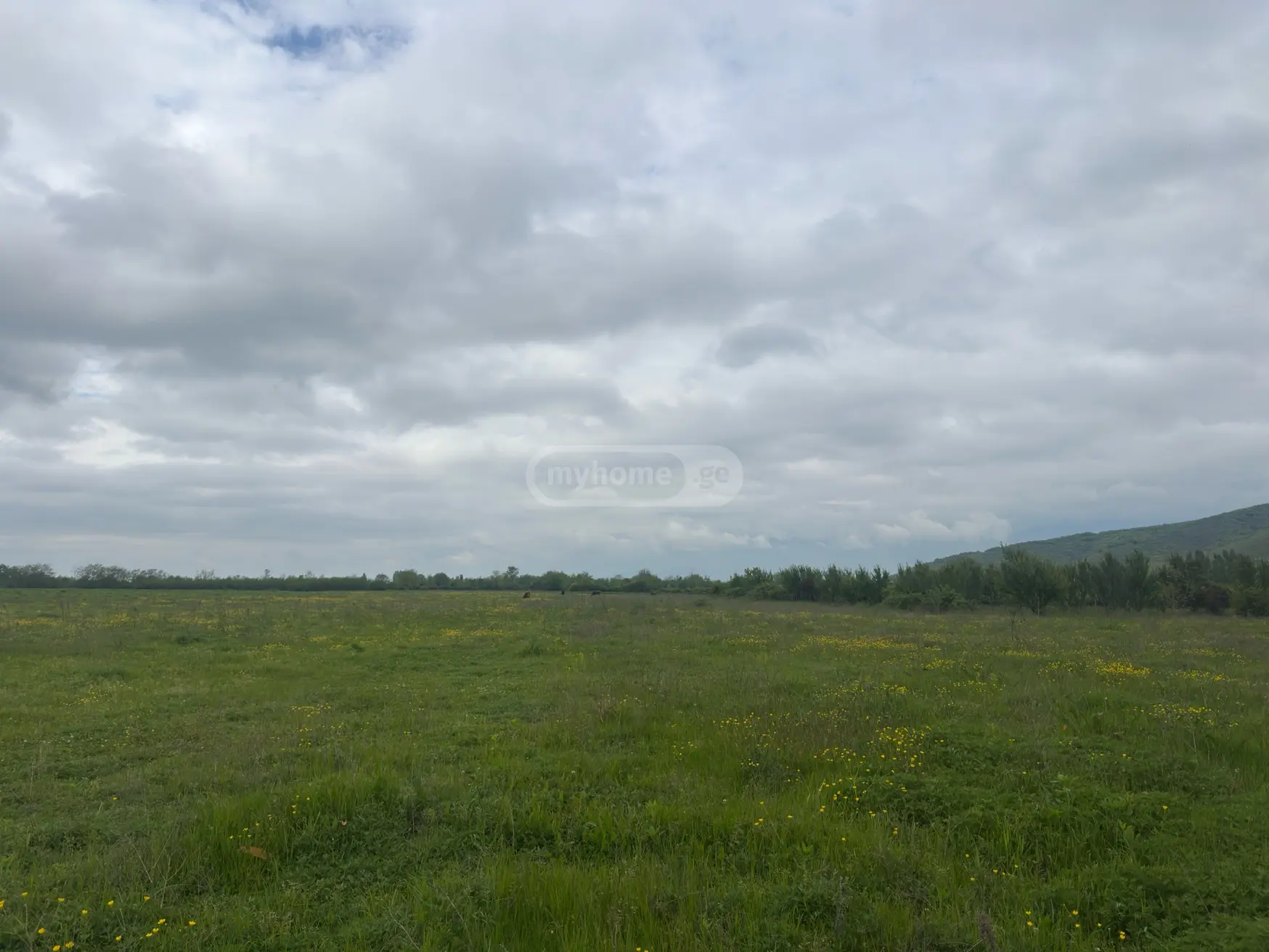 იყიდება Agricultural Plot In Lagodekhiში view 2