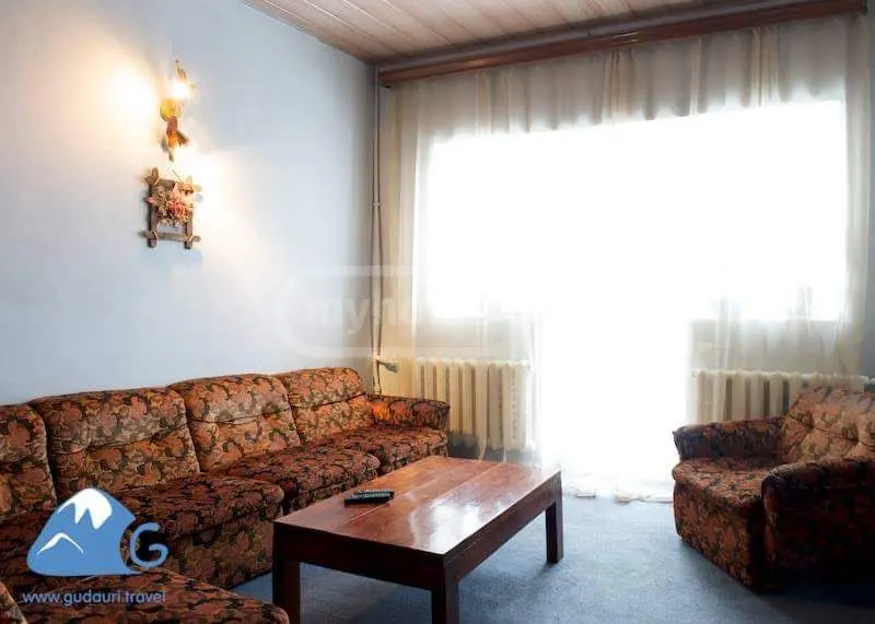 10+ Room Hotel For Sale In Gudauri view 8
