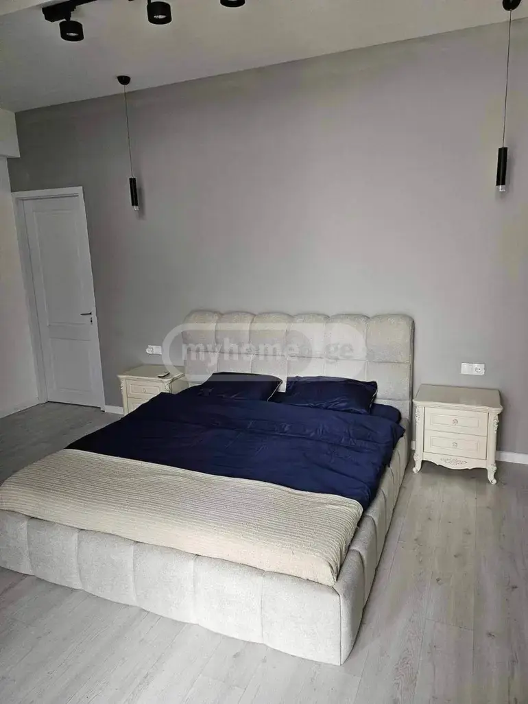 6 Room Country House Daily Rent In Didi Digomi view 13