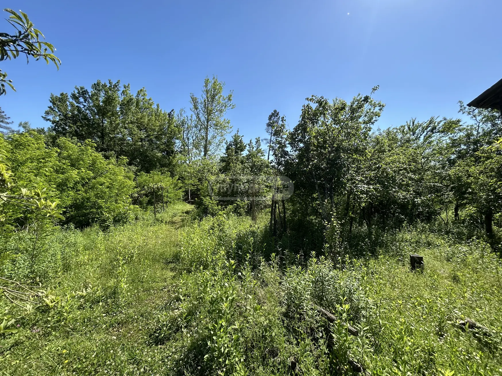Agricultural Plot For Sale In Khomuli, In Tskaltubo Municipality view 10