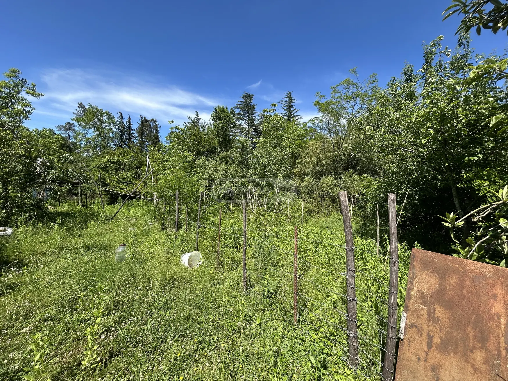 Agricultural Plot For Sale In Khomuli, In Tskaltubo Municipality view 7