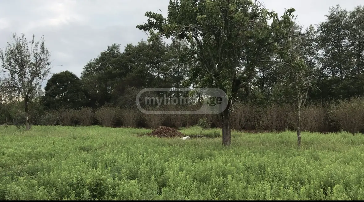 Non-Agricultural Plot For Sale In Anaklia, In Zugdidi Municipality view 8