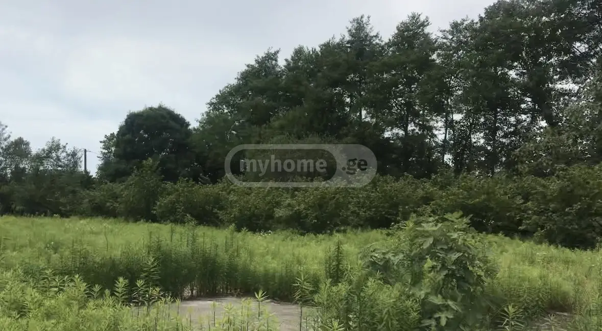 Non-Agricultural Plot For Sale In Anaklia, In Zugdidi Municipality view 1